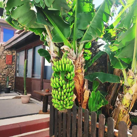 Daire Lucia - El Mirador